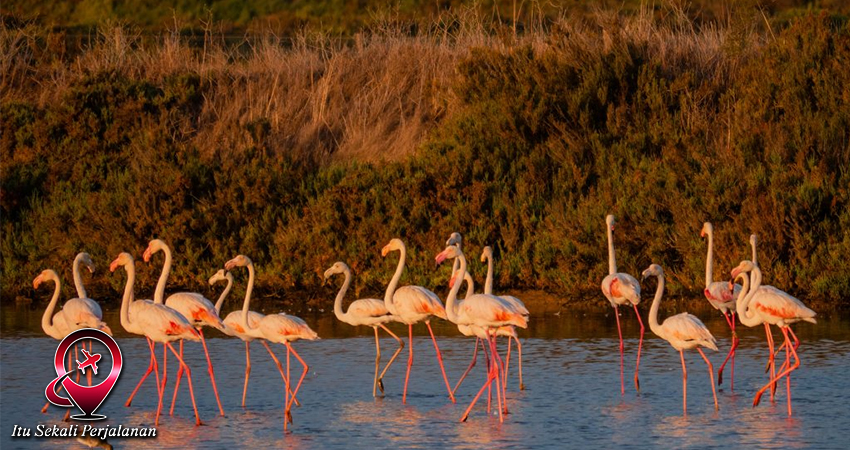 Taman Nasional Portugal: Keajaiban Alam yang Memukau